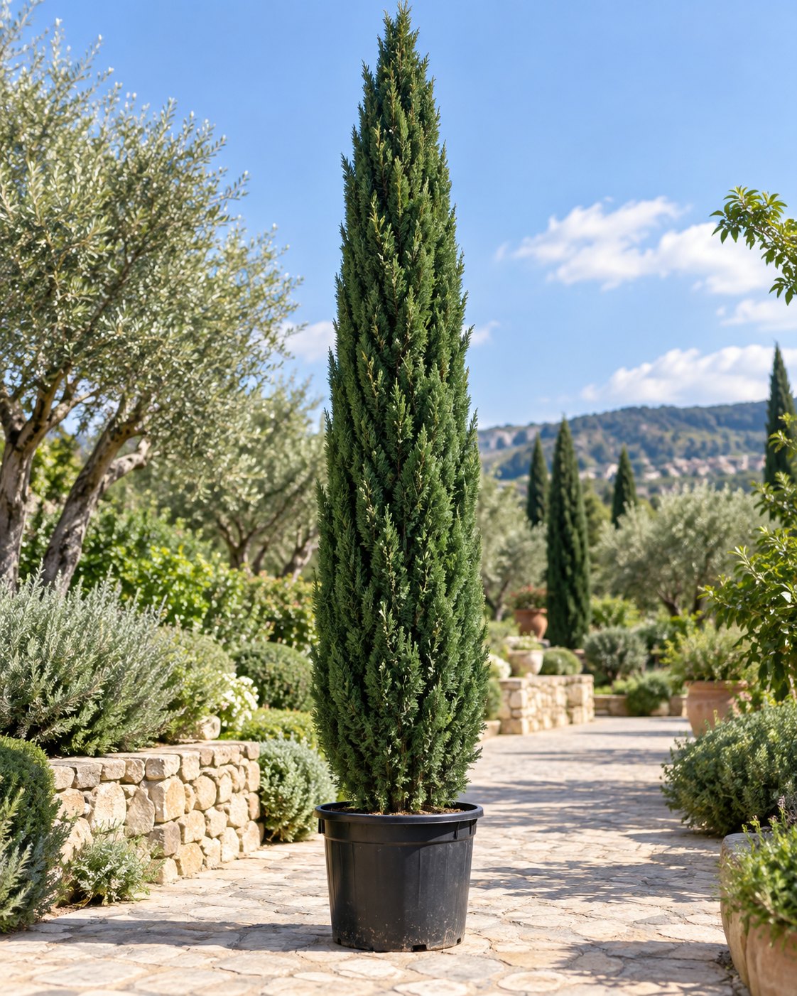 Plant Office galerisi, fotoğraf 11