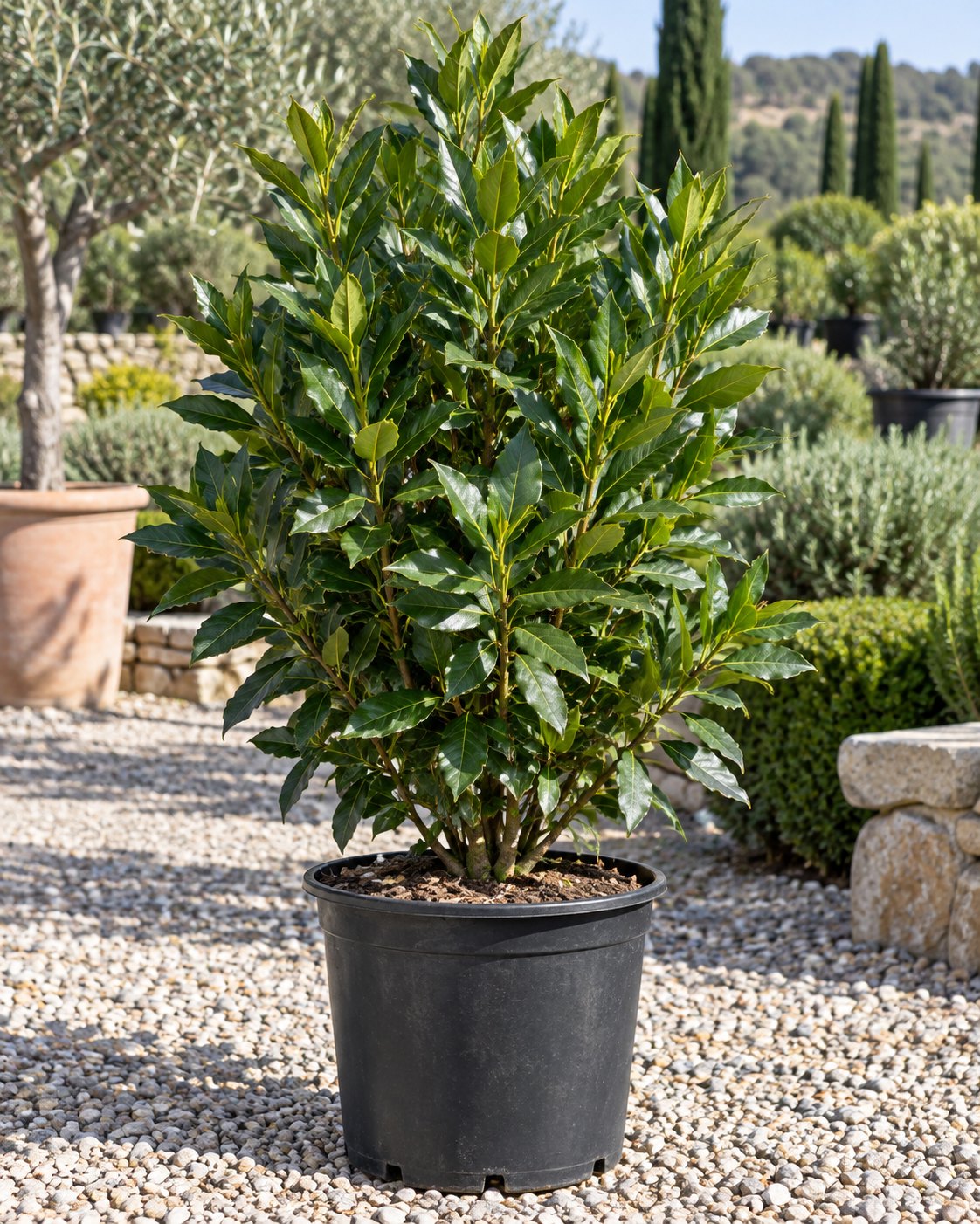 Plant Office galerisi, fotoğraf 47