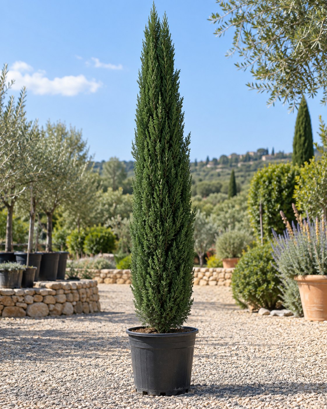 Plant Office galerisi, fotoğraf 52